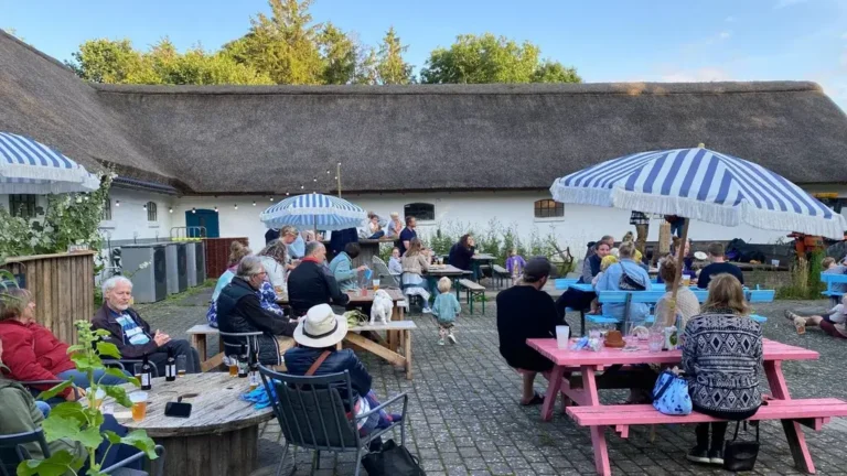 Fælles sommerhygge på terrassen ved gårdbutik & Cafe