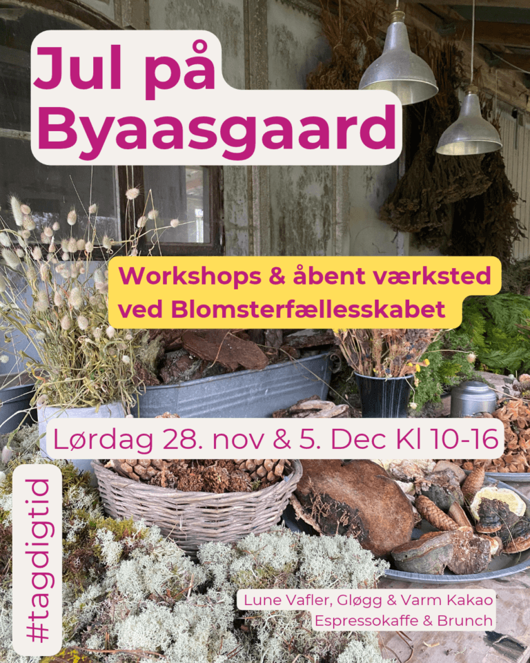 Jul på Byaasgaard