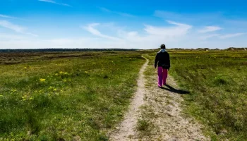 vandrestier i Halsnaes